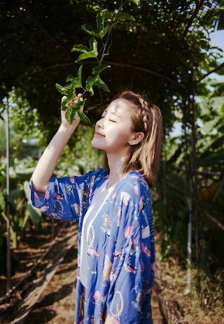 丁香花在线电影电视剧