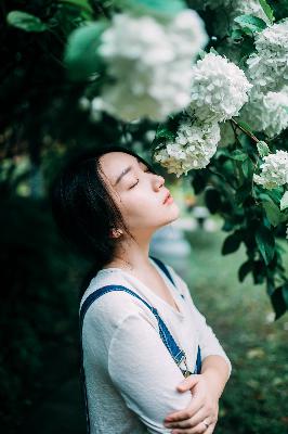 丁香花电影高清在线观看完整版